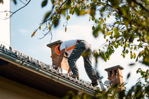 Best Roof Leak Repair  in Beesleys Point, NJ